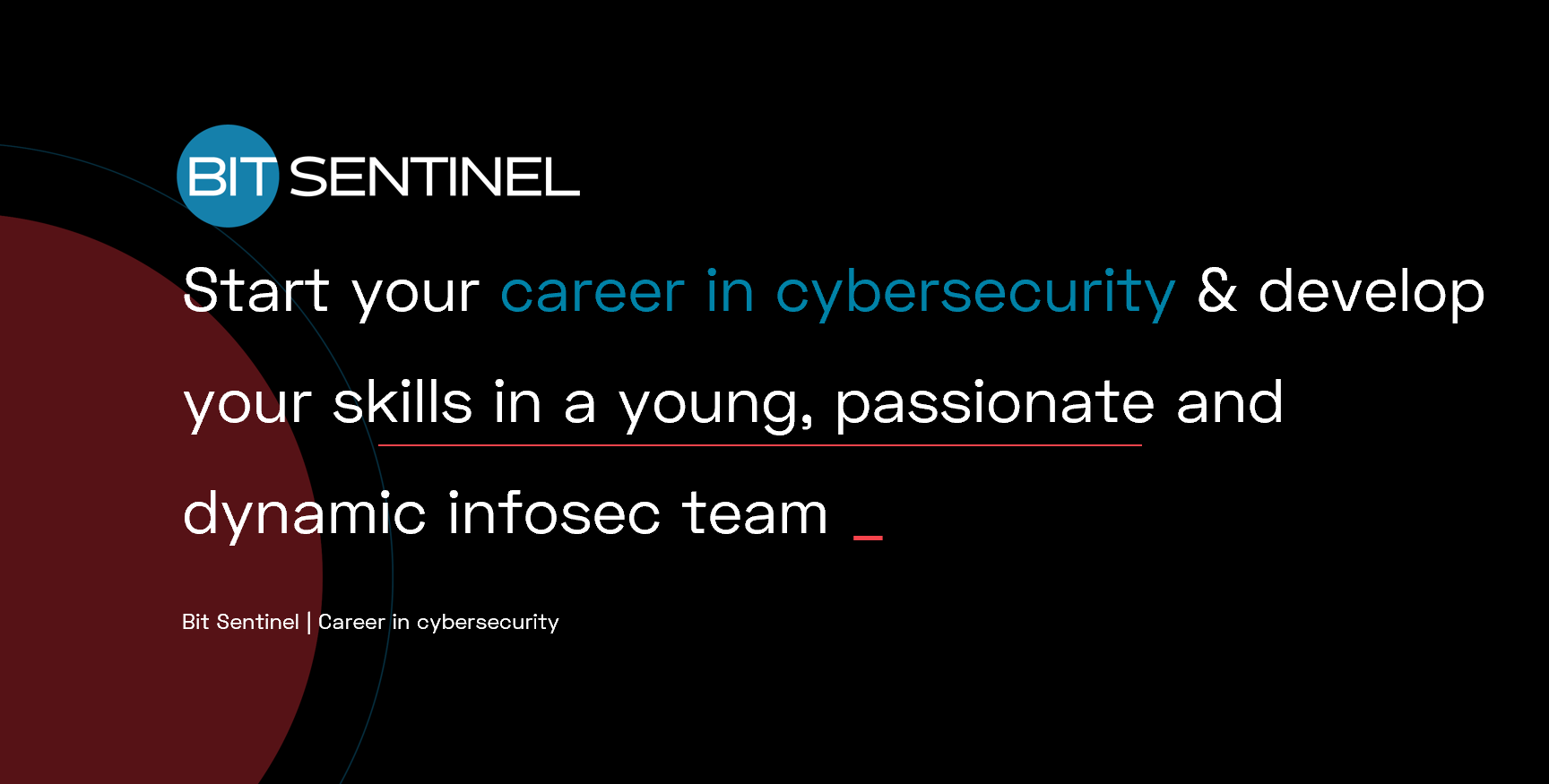 Career In Cyber Security Bit Sentinel