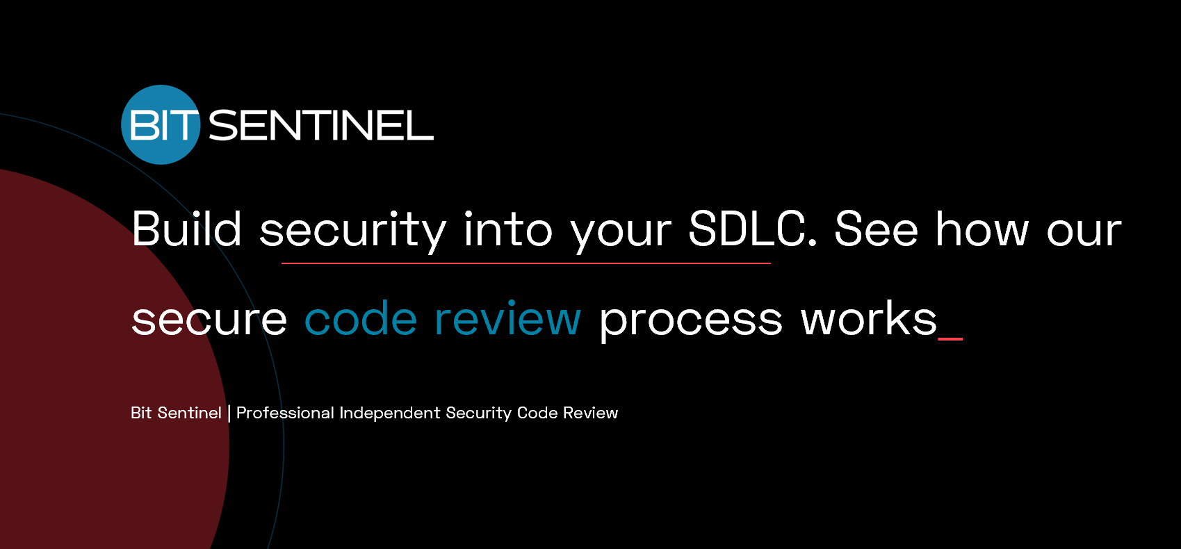 Professional Independent Security Code Review Bit Sentinel